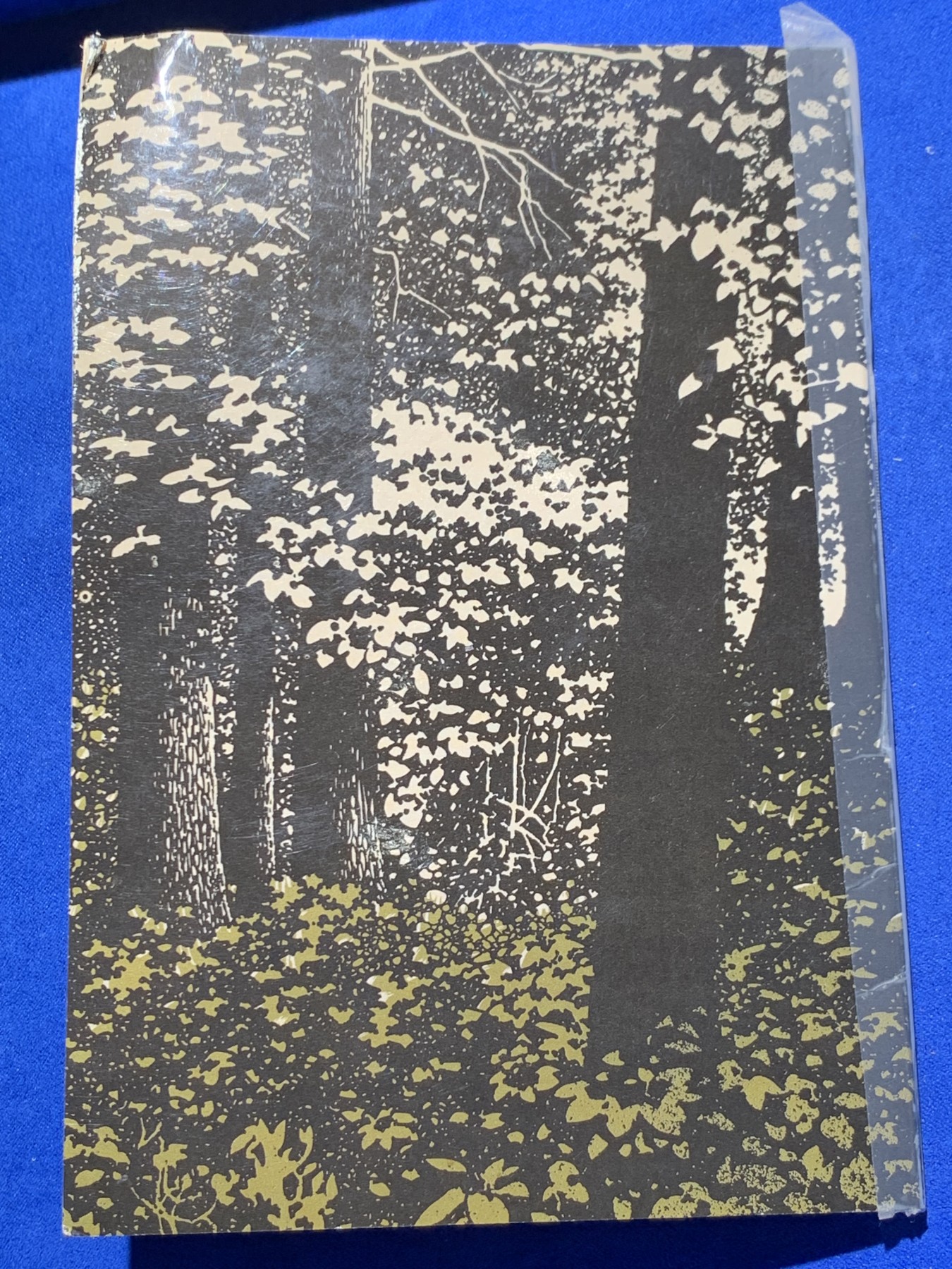 《竞宝斋》第247场-周日，周一 ，周二3场连拍 (全场包邮) 卡装 安道尔1987年划船和滑雪2第纳尔纪念币