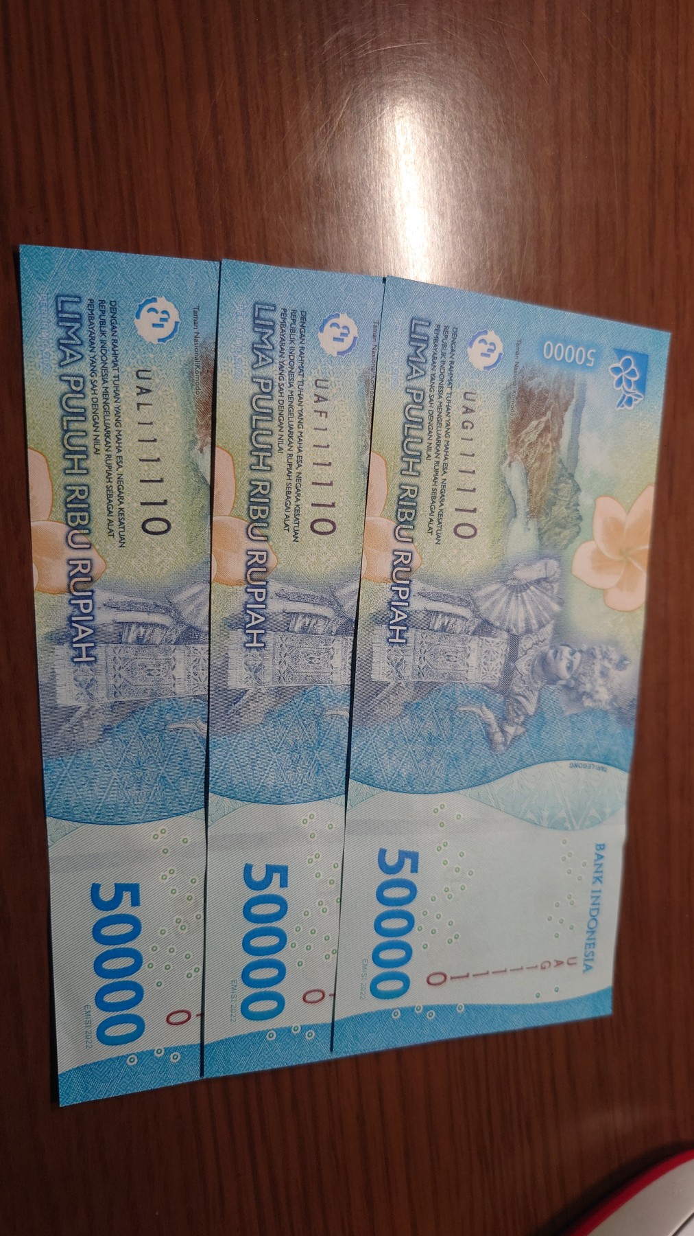 【世界钱币】精选微拍第96期暨2024年第七期 年度惊喜让利回馈 真正超低价起拍 2022年印度尼西亚50000卢比 如图三张为一件一起拍 全新绝品 二进制1和0