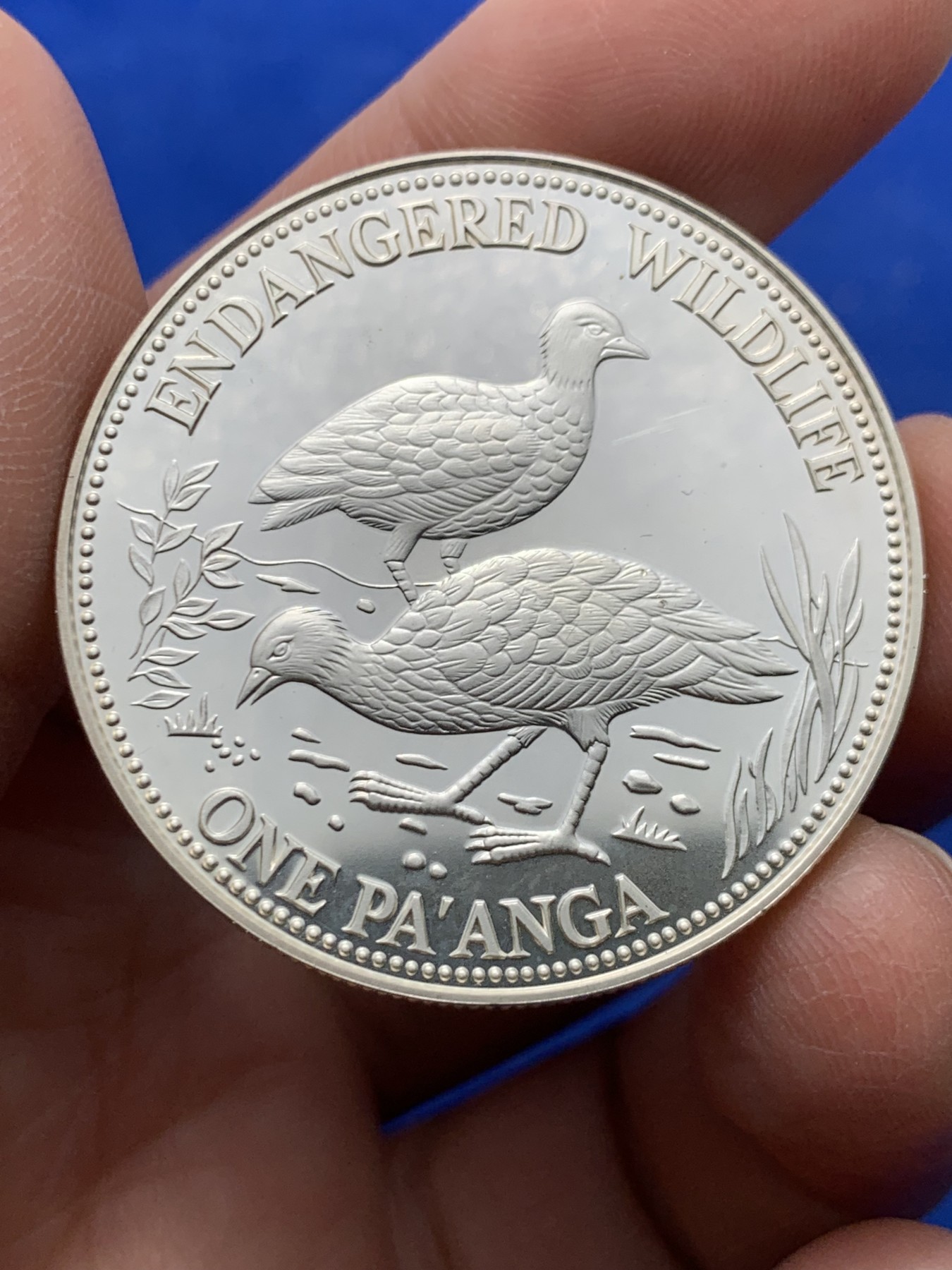 《竞宝斋》第247场-周日，周一 ，周二3场连拍 (全场包邮) 汤加1991年 1潘加银币 31.6克 925银