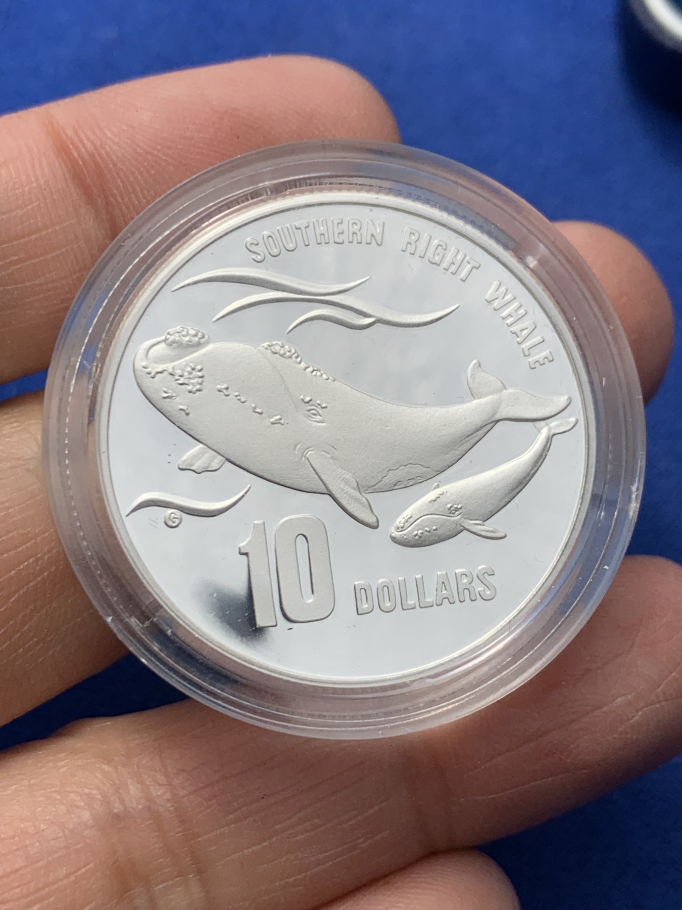 《竞宝斋》第247场-周日，周一 ，周二3场连拍 (全场包邮) 澳大利亚 1996  南露脊鲸 10元 大银币 加厚 40克 925银