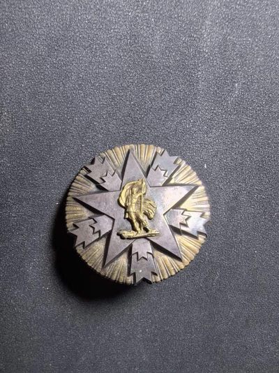 盛世勋华——号角文化勋章邮票专场拍卖第170期 - 南斯拉夫二级人民功勋勋章（转轮版） 极早期编号196 银制