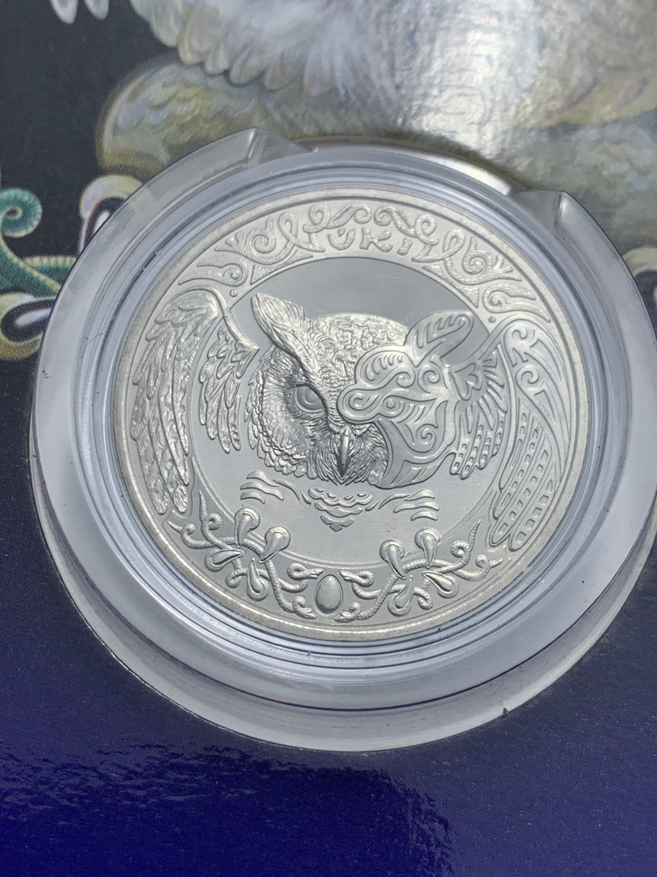 《竞宝斋》第247场-周日，周一 ，周二3场连拍 (全场包邮) 哈萨克斯坦 2019 100坚戈 猫头鹰 纪念币 发行2万枚