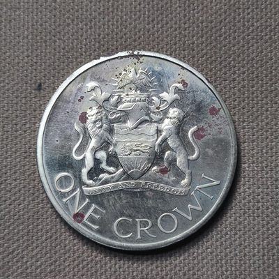 一百三十一期 三月第五期 - 3.5.4马拉维精制币