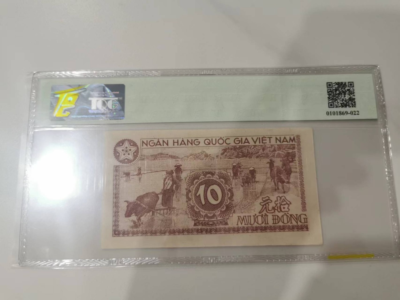 259.【鲸贝乐淘★两拍包邮】弟子规·第“亲所好，力为具。亲所恶，谨为去。”号拍卖 【中国代印★越南🇻🇳】1951年10盾，胡志明头像，同一版人民币，TQG58分，稀有品种难得