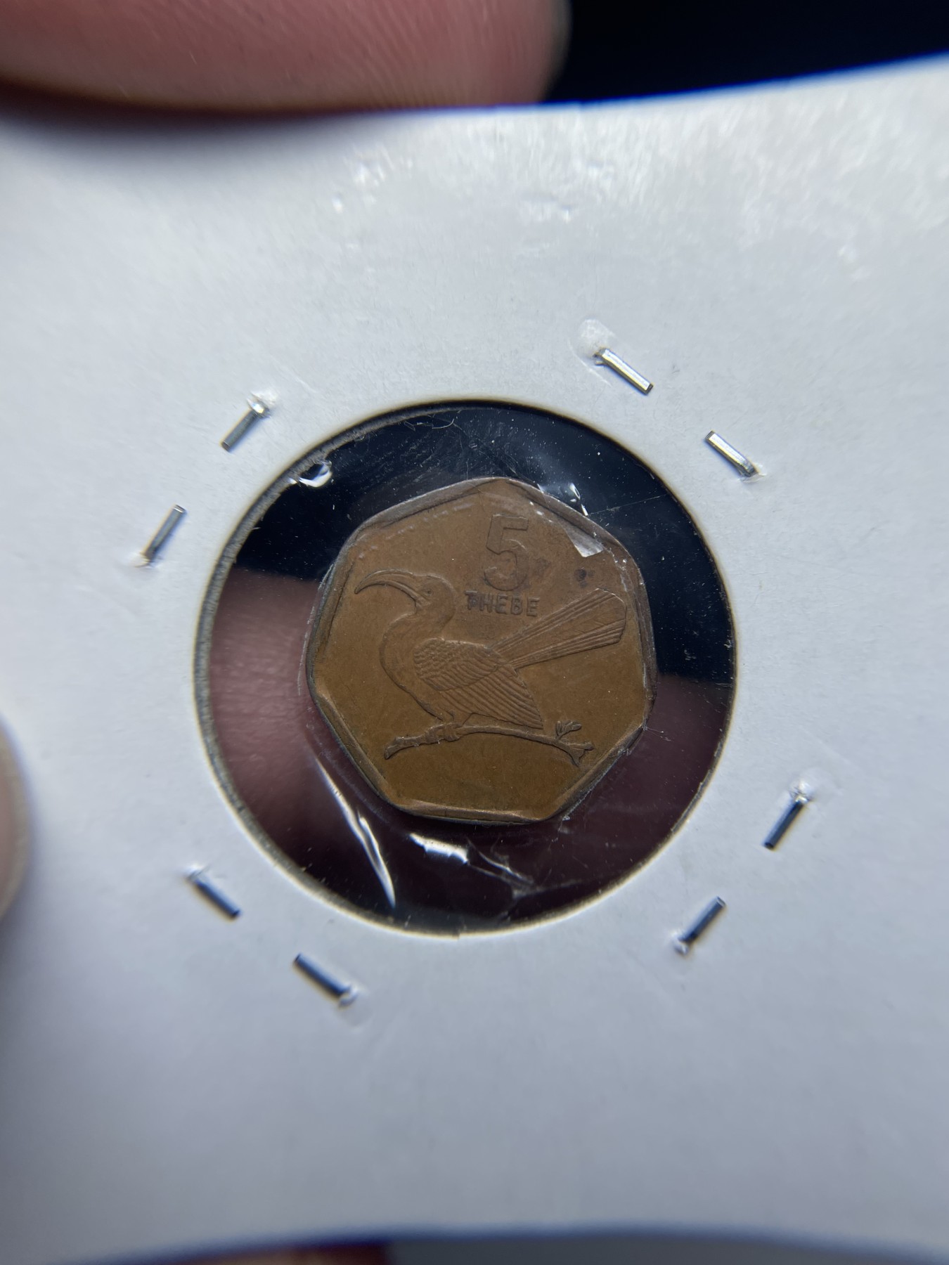 2024年集古藏今外币拍卖第一期-第10场非洲专场（总第10拍） 1998年博茨瓦纳5分