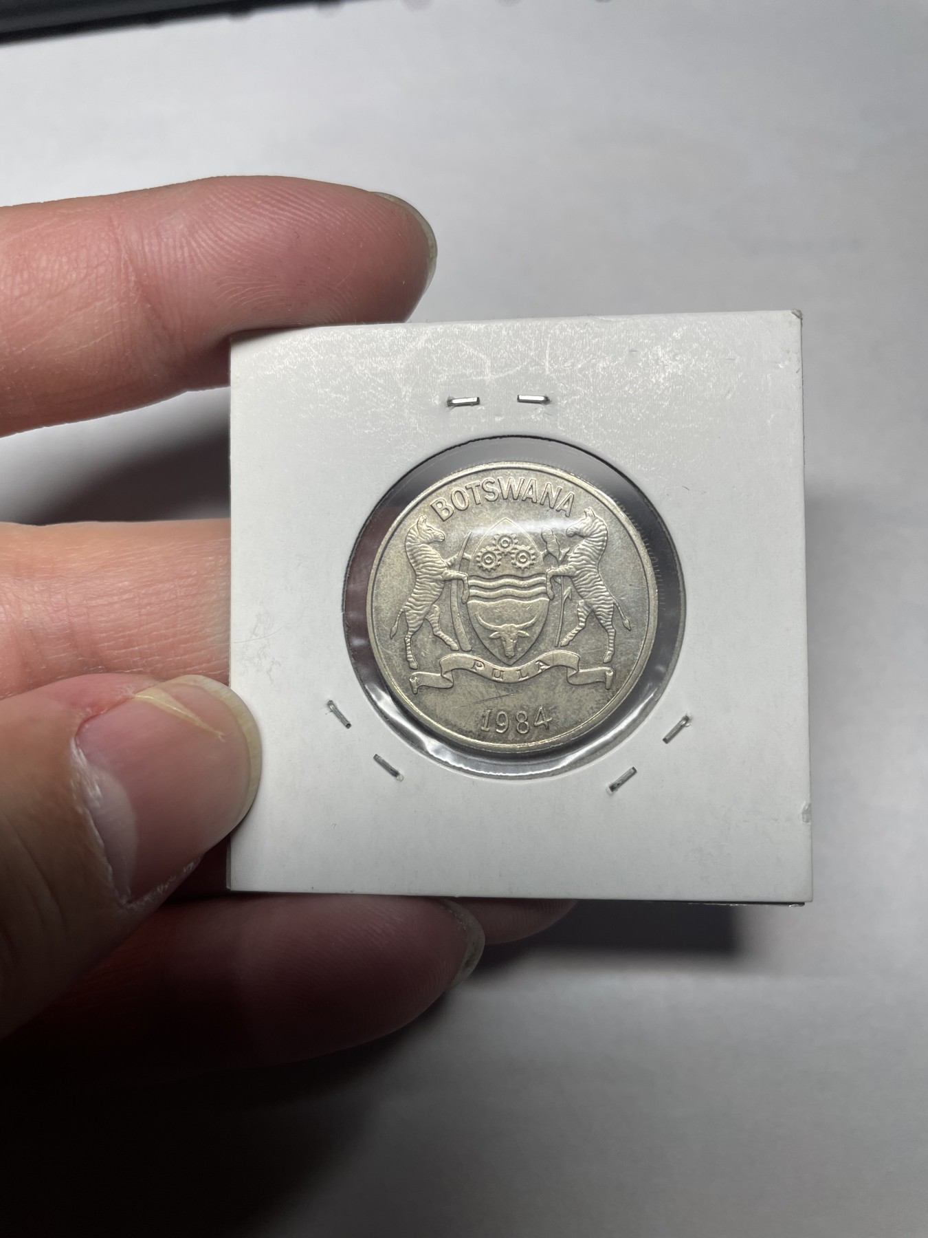 2024年集古藏今外币拍卖第一期-第10场非洲专场（总第10拍） 1984年博茨瓦纳25分瘤牛