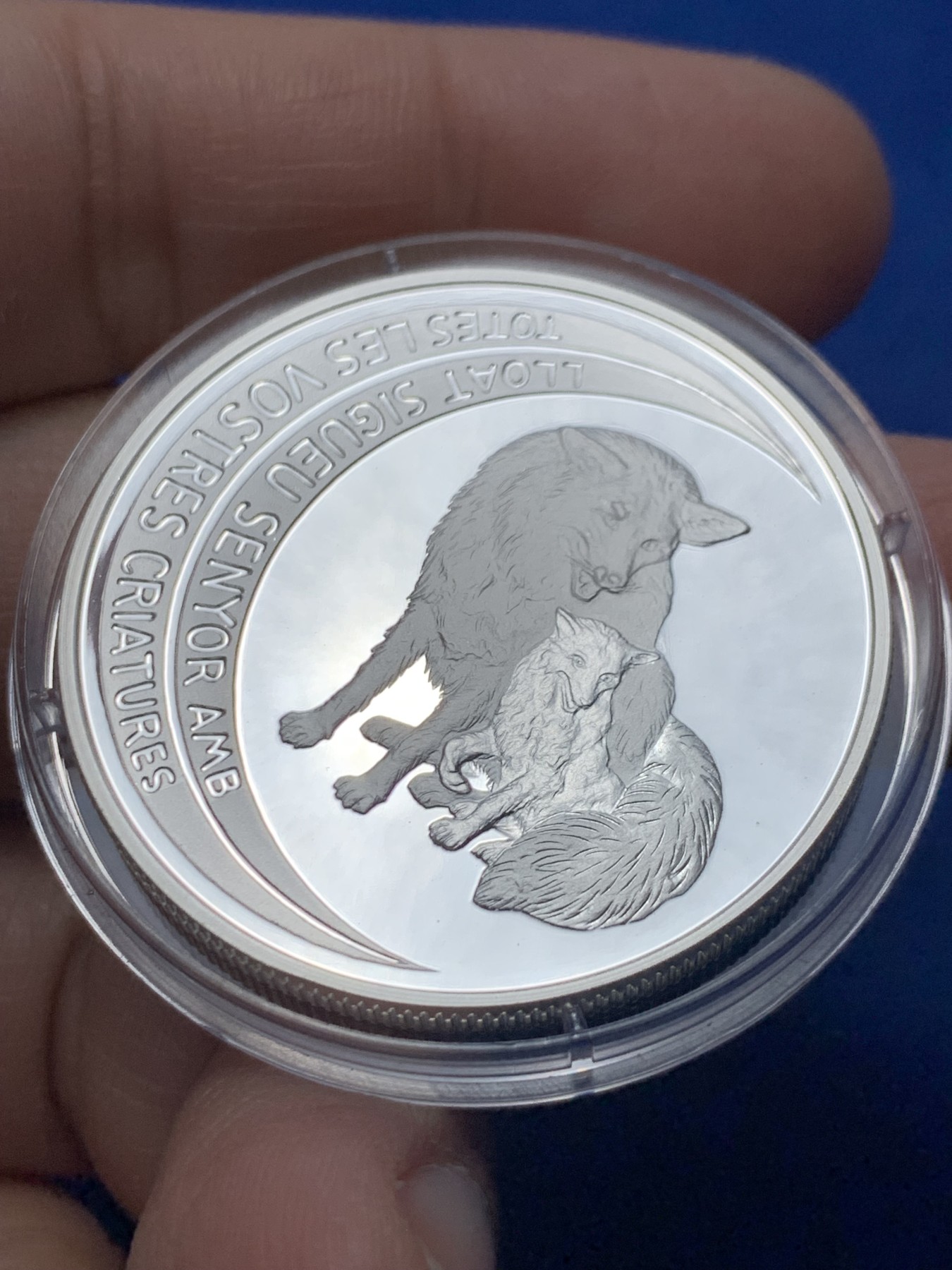 《竞宝斋》第247场-周日，周一 ，周二3场连拍 (全场包邮) 安道尔1995年 草原狼10第纳尔精制大银币 31.1克 925银