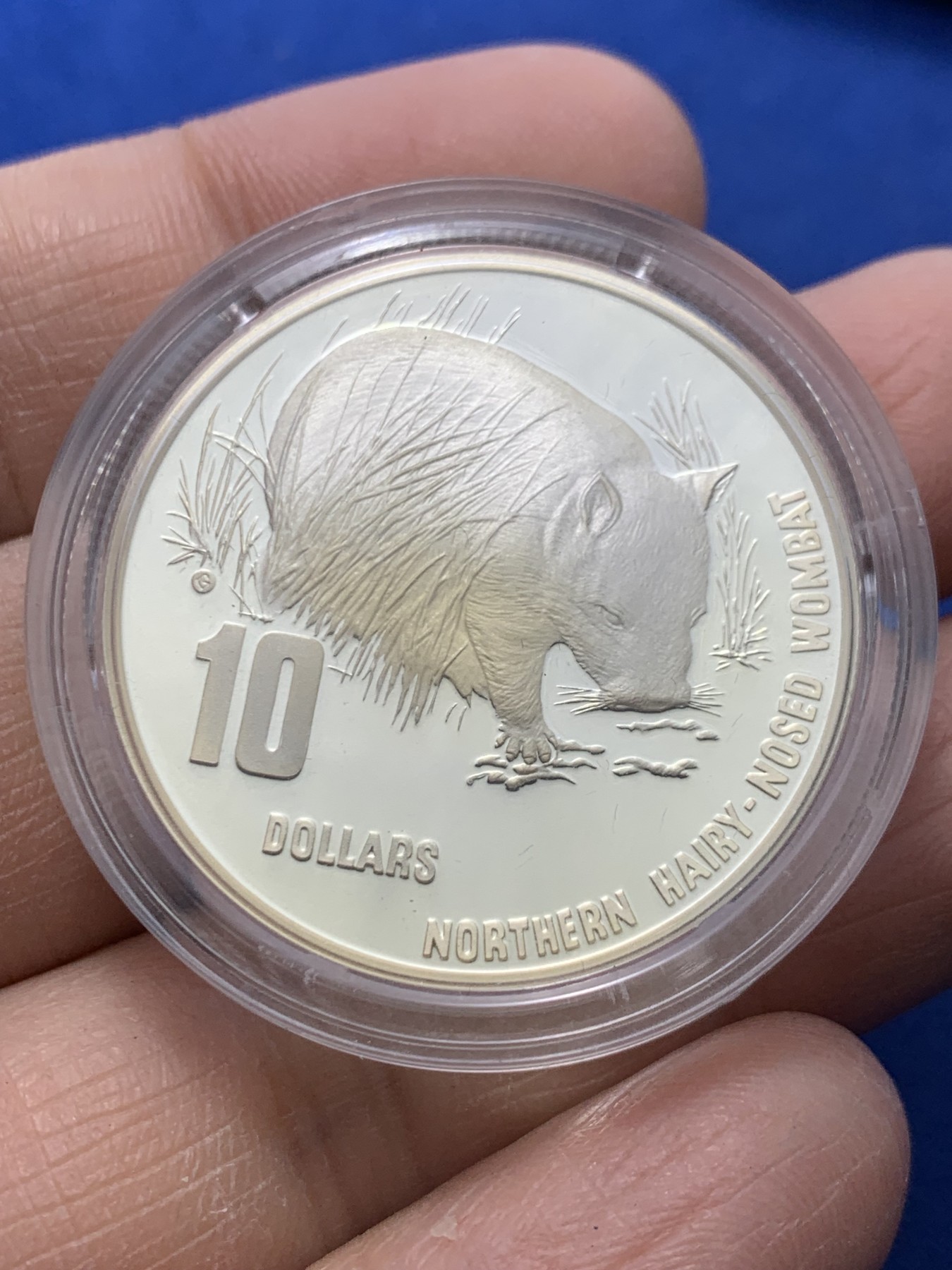 《竞宝斋》第247场-周日，周一 ，周二3场连拍 (全场包邮) 澳大利亚 1998 北方毛鼻袋熊 10元 银币 925银 20克