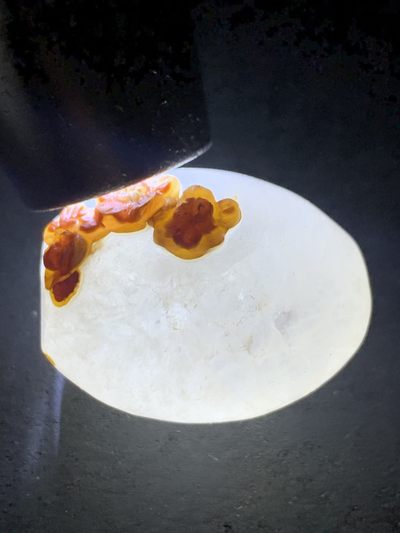 精美亚光冰飘战国红玛瑙手工俏色巧雕蝶恋花随形桶珠一颗！ 精美亚光冰飘战国红玛瑙手工俏色巧雕蝶恋花随形桶珠一颗！