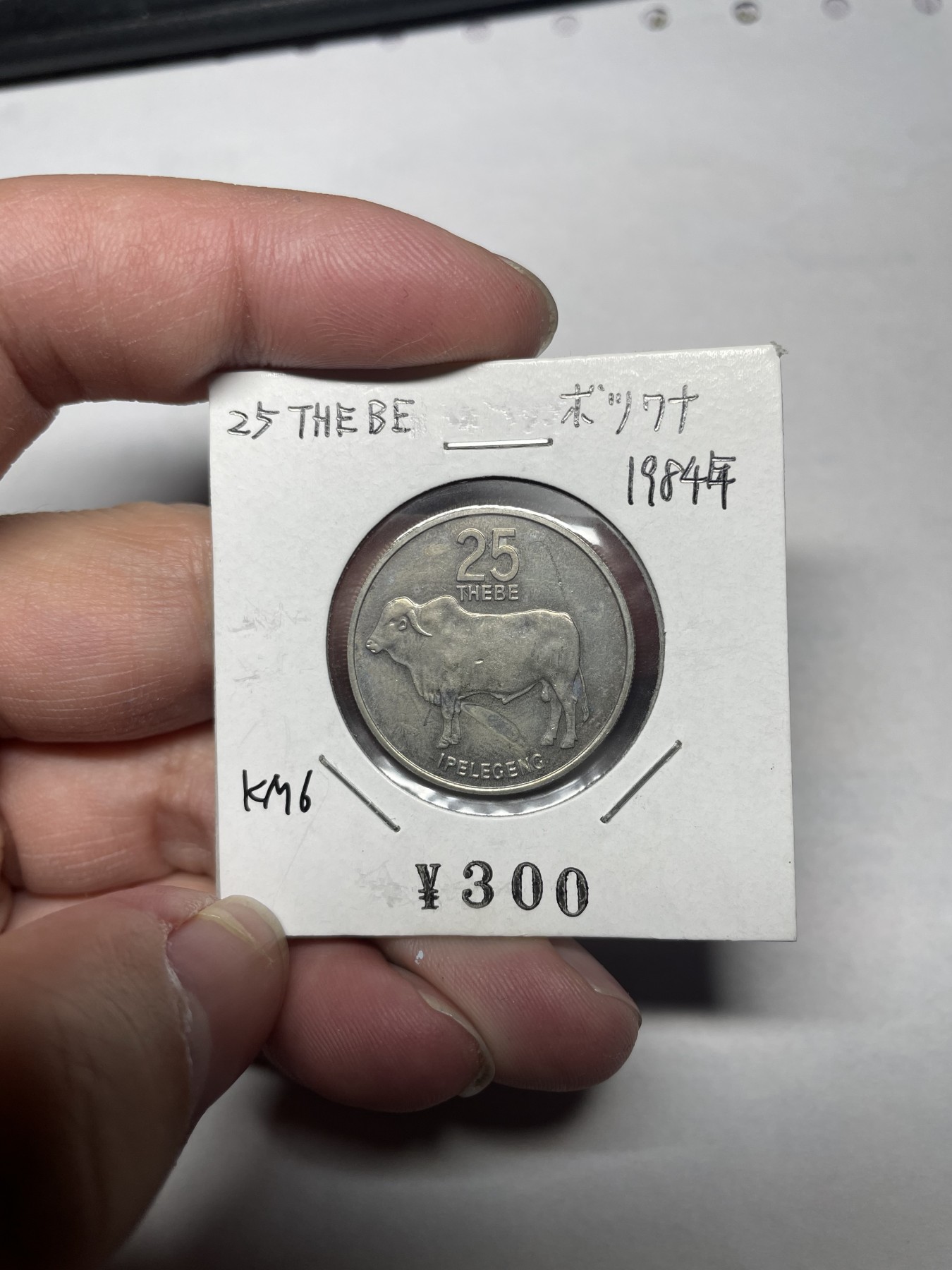 2024年集古藏今外币拍卖第一期-第10场非洲专场（总第10拍） 1984年博茨瓦纳25分瘤牛