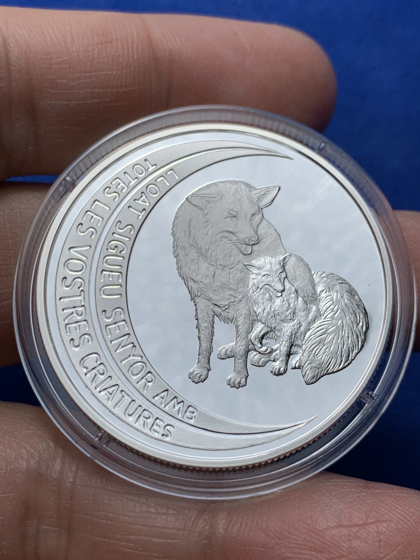 《竞宝斋》第247场-周日，周一 ，周二3场连拍 (全场包邮) 安道尔1995年 草原狼10第纳尔精制大银币 31.1克 925银