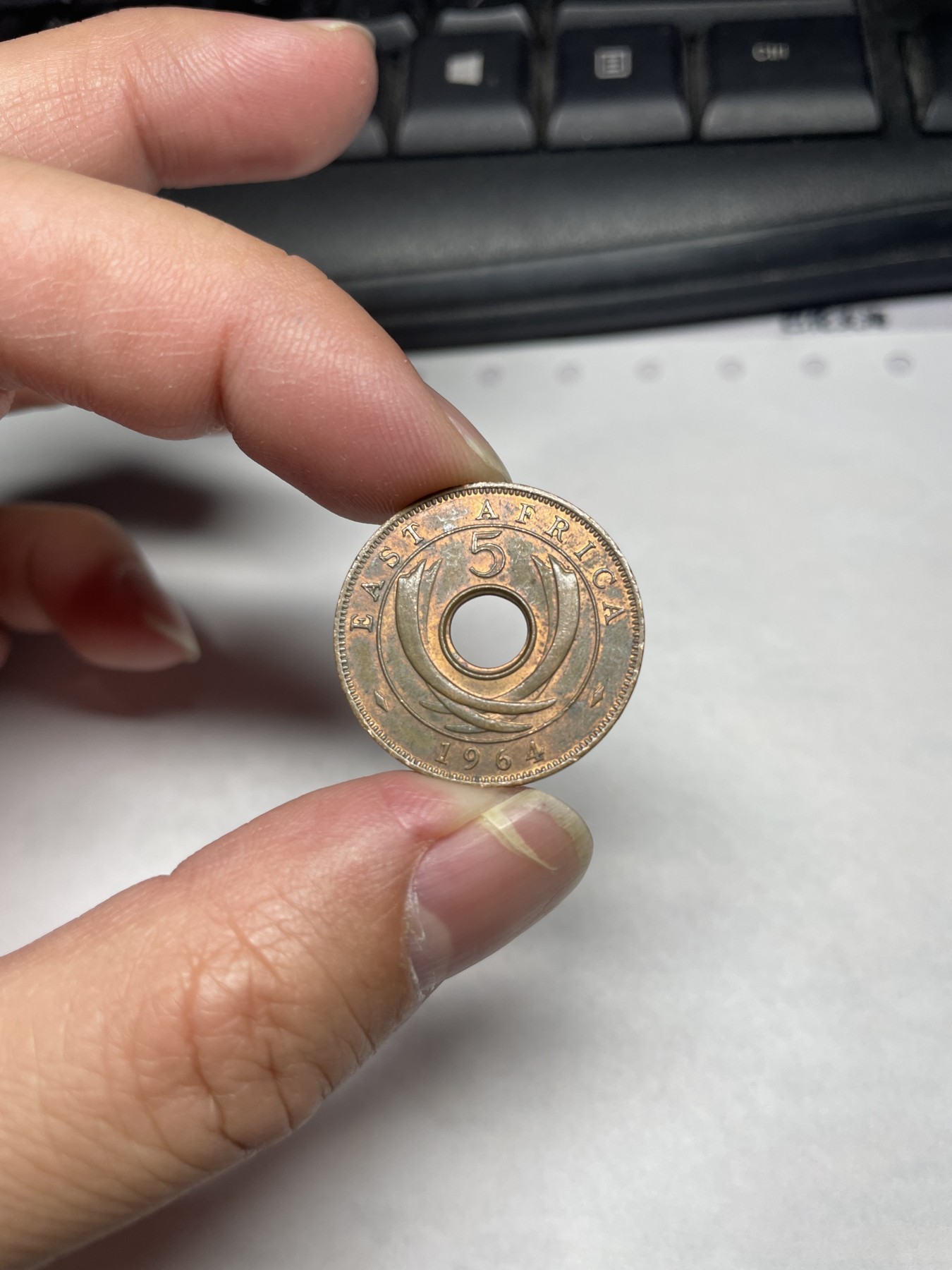 2024年集古藏今外币拍卖第一期-第10场非洲专场（总第10拍） 1964年英属东非5分带底光