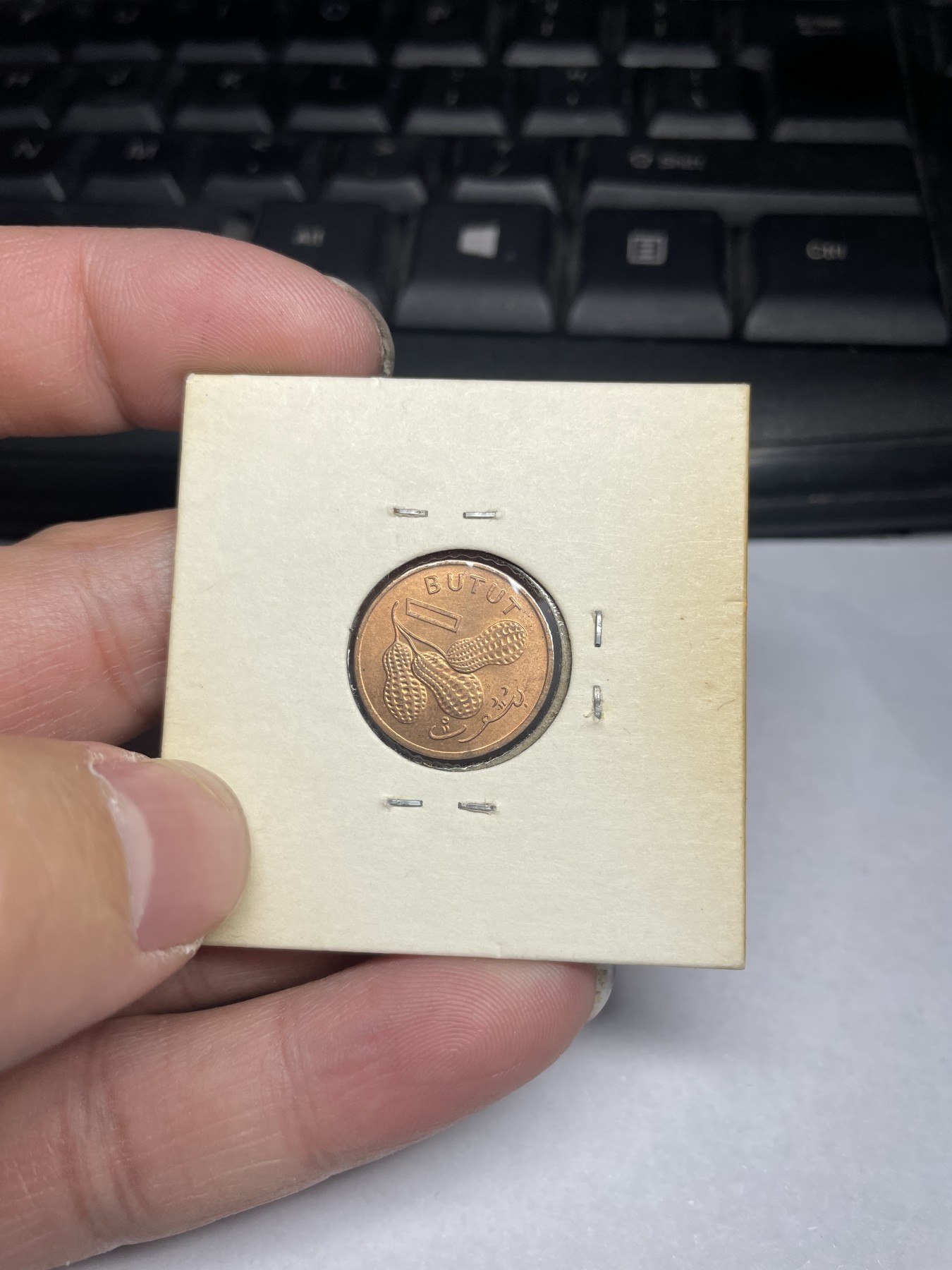 2024年集古藏今外币拍卖第二期-第1场（总第11拍） 带光1971年冈比亚