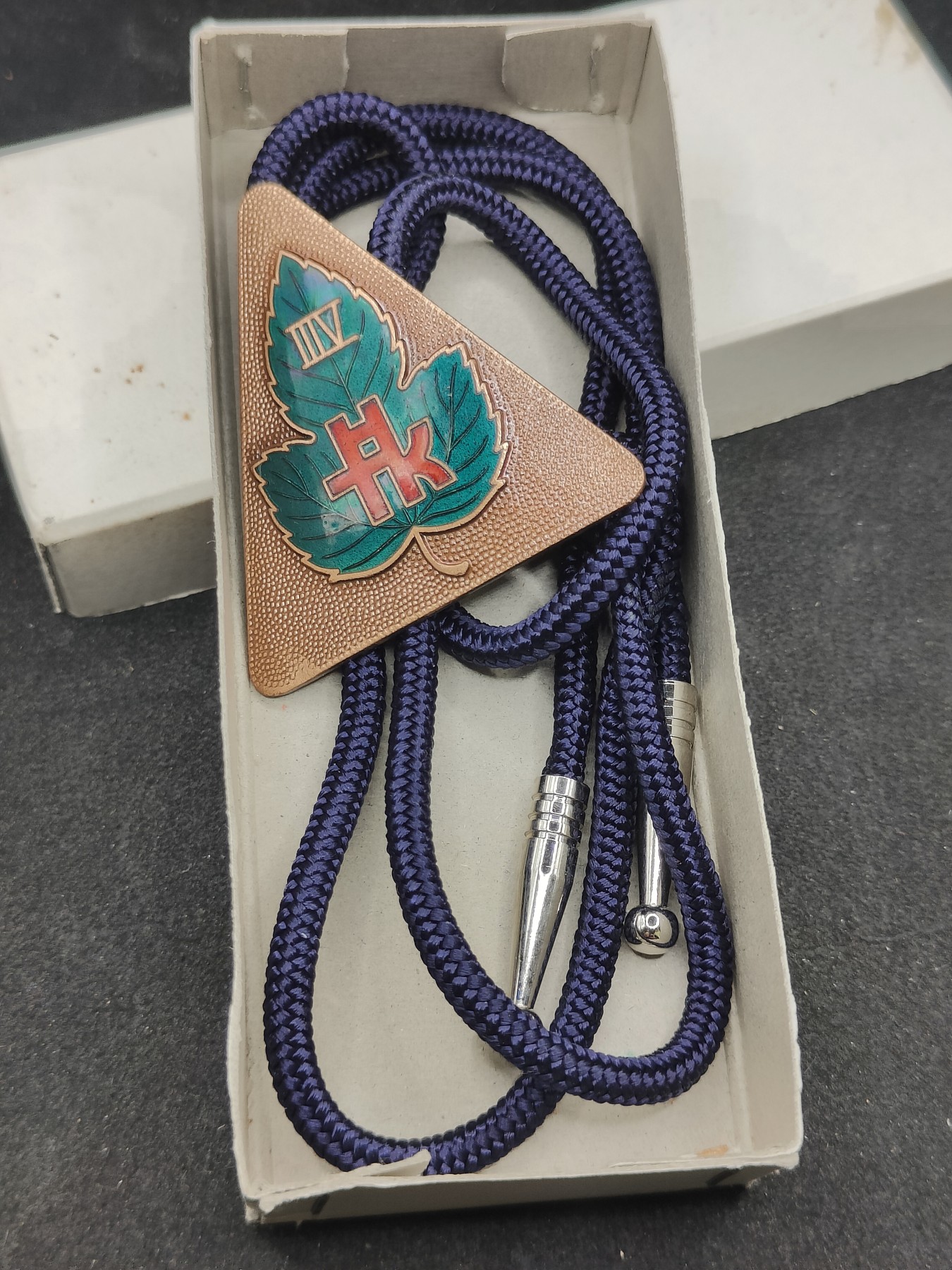 全场0元起拍 第139期 咸鱼国勋章拍卖专场 3月17日（周日）下午6：00开始 日本体育协会 珐琅纪念波洛领带