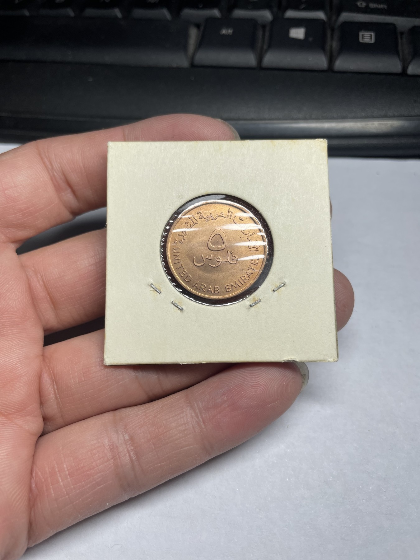 2024年集古藏今外币拍卖第二期-第1场（总第11拍） 带光阿联酋5分小鱼