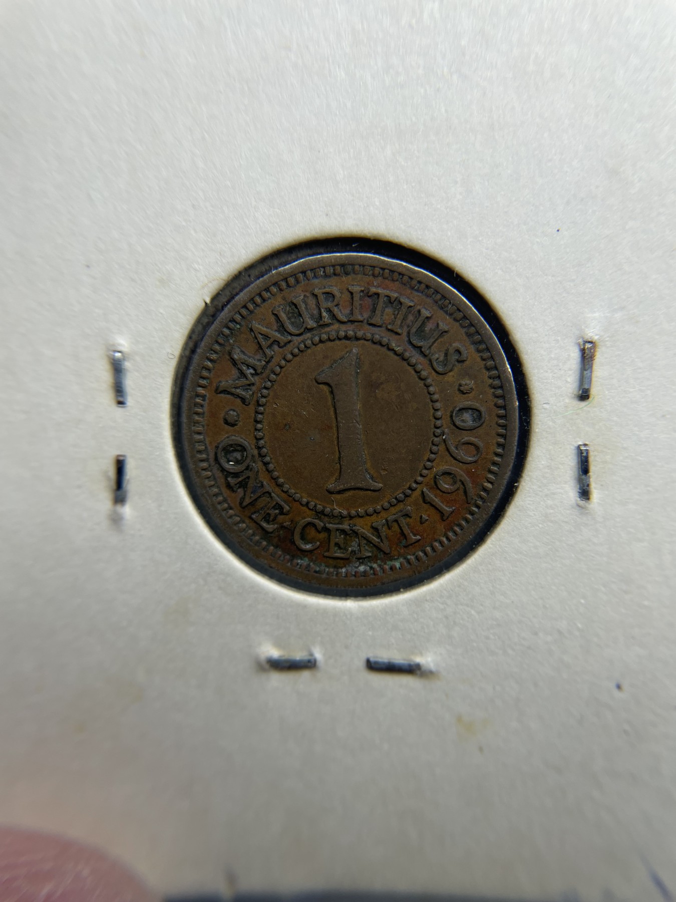 2024年集古藏今外币拍卖第二期-第1场（总第11拍） 1960年英属毛里求斯1分