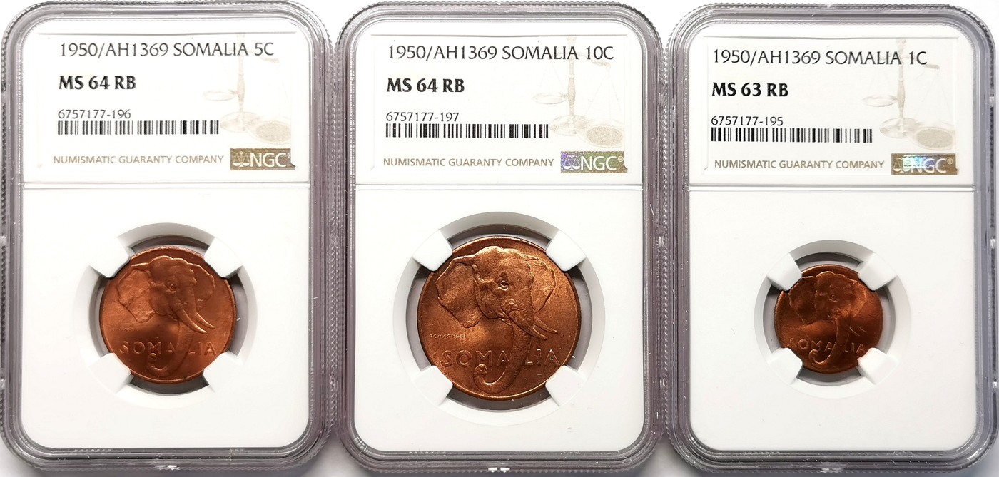 凡希社世界钱币微拍第二百六十三期 1950意托管索马里大象铜币三枚NGC-MS63/64/64原铜光优美！
