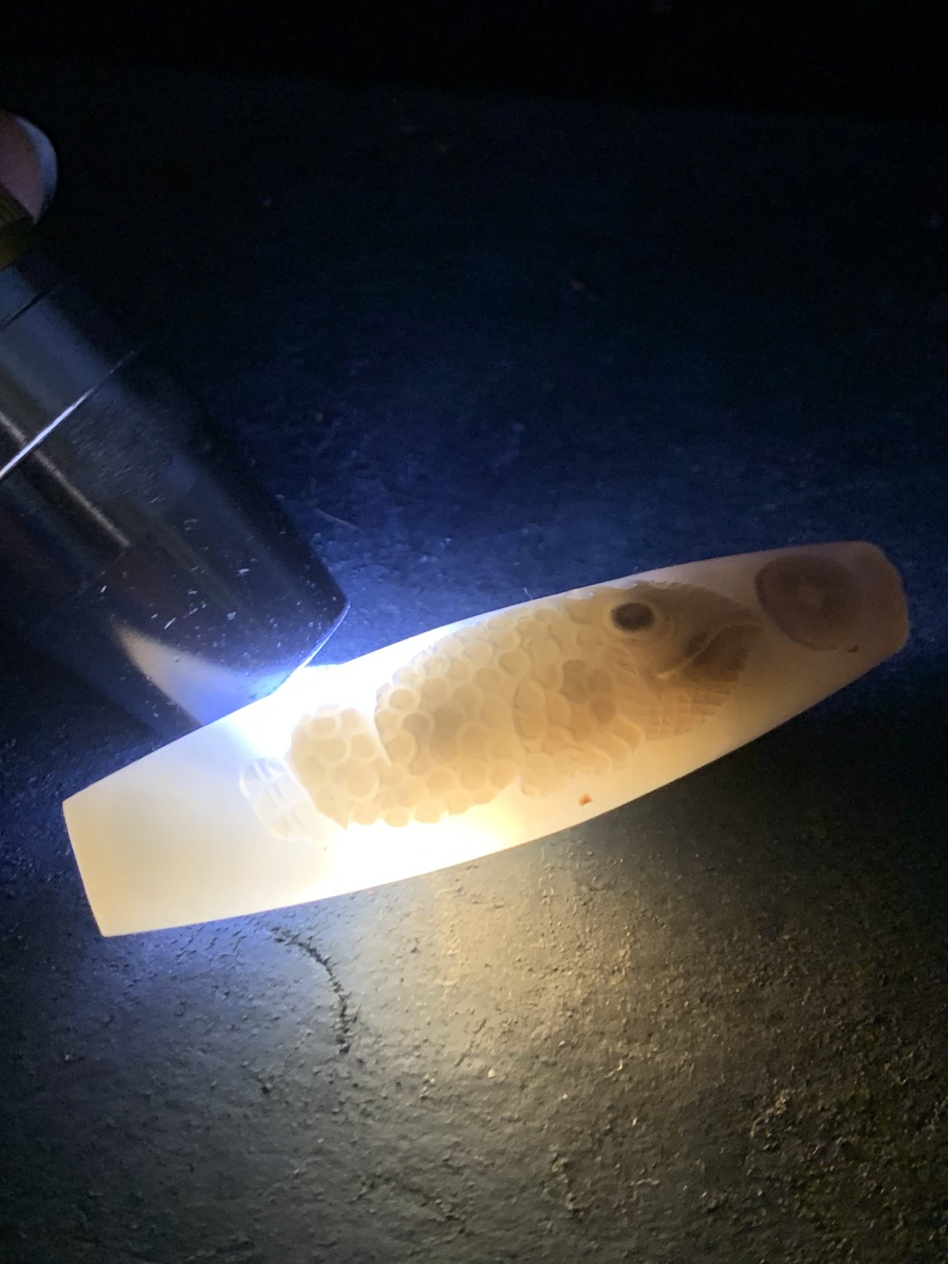 精美亚光高玉化巴西玛瑙手工俏色巧雕三足招财金蟾吊坠（把件）一个！