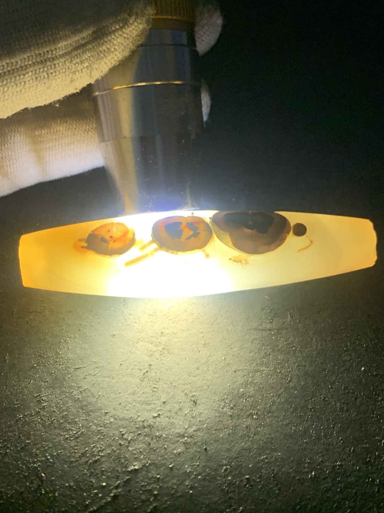 精美亚光高玉化巴西玛瑙手工俏色巧雕蝙蝠钱币随形大吊坠（把件）一个！