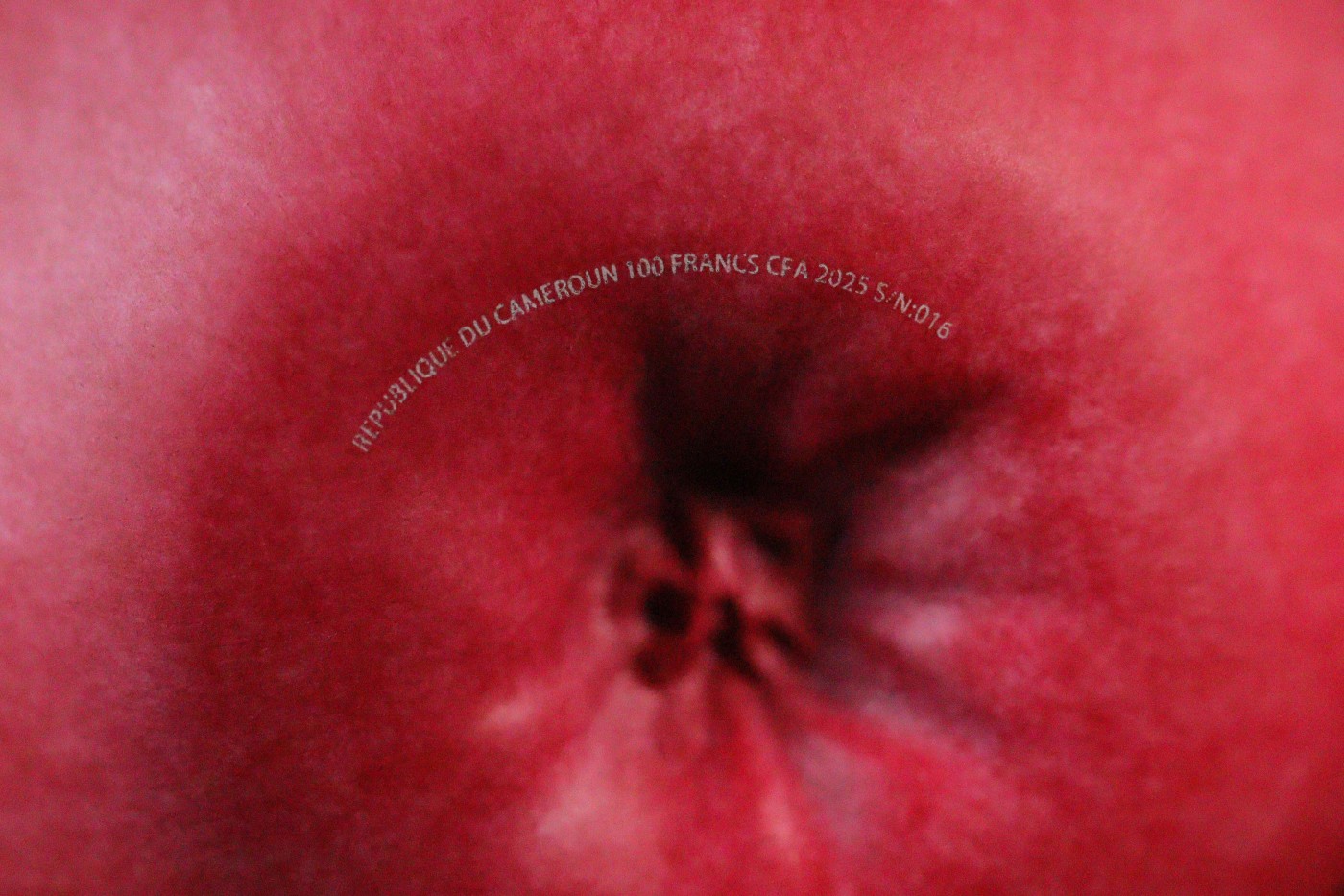 CSIS-GREAT评级精品钱币拍卖第二百三十八期 喀麦隆2025红苹果立体镀金彩色铜币 带盒证 号号码