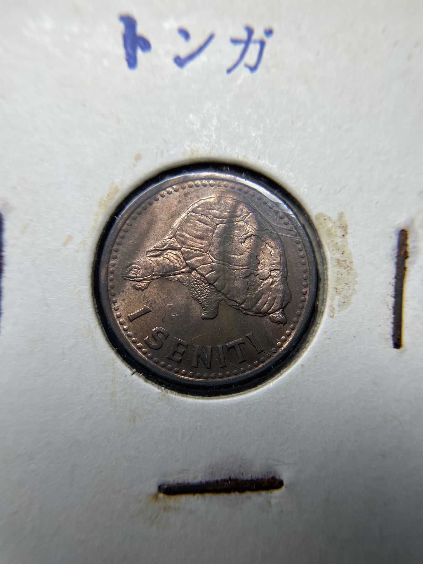 2024年集古藏今外币拍卖第二期-第5场（总第15拍） 带光1967年汤加一分巨龟