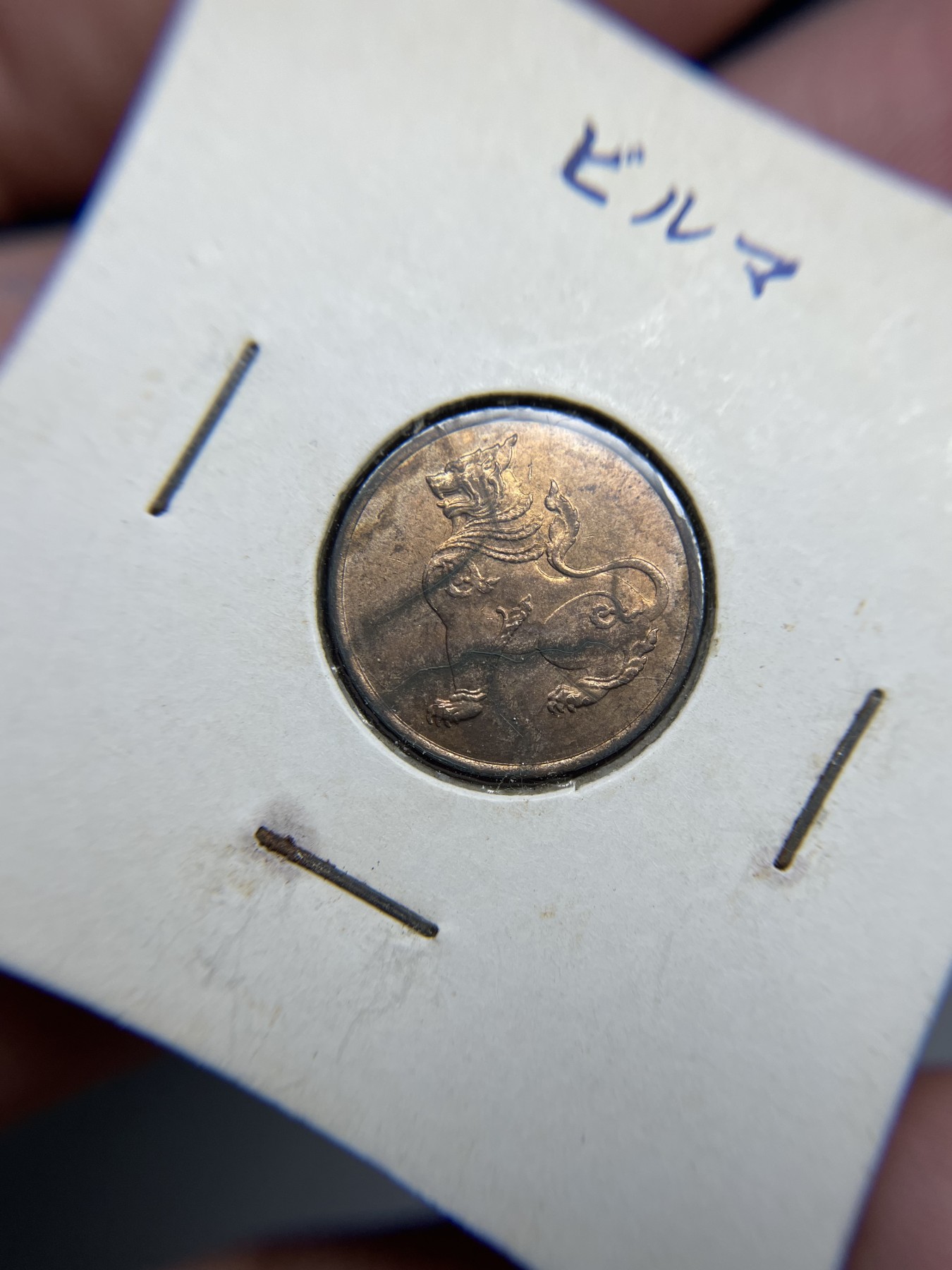 2024年集古藏今外币拍卖第二期-第5场（总第15拍） 带光缅甸小狮子