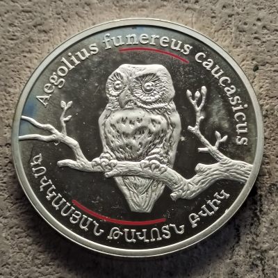 0起1加-纯粹捡漏拍-303套币场 - 【稀少】亚美尼亚2008年100迪拉姆红皮书动物系列鬼鸮精制纪念银币-量3000