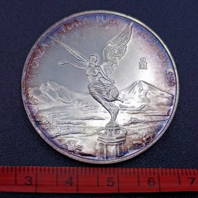 【淘币小摊】第二百八十七拍 银币套币场 满百包邮  每日一拍 每周一统一发货 可预留两周发货 - 墨西哥2008年一盎司天使女神银币