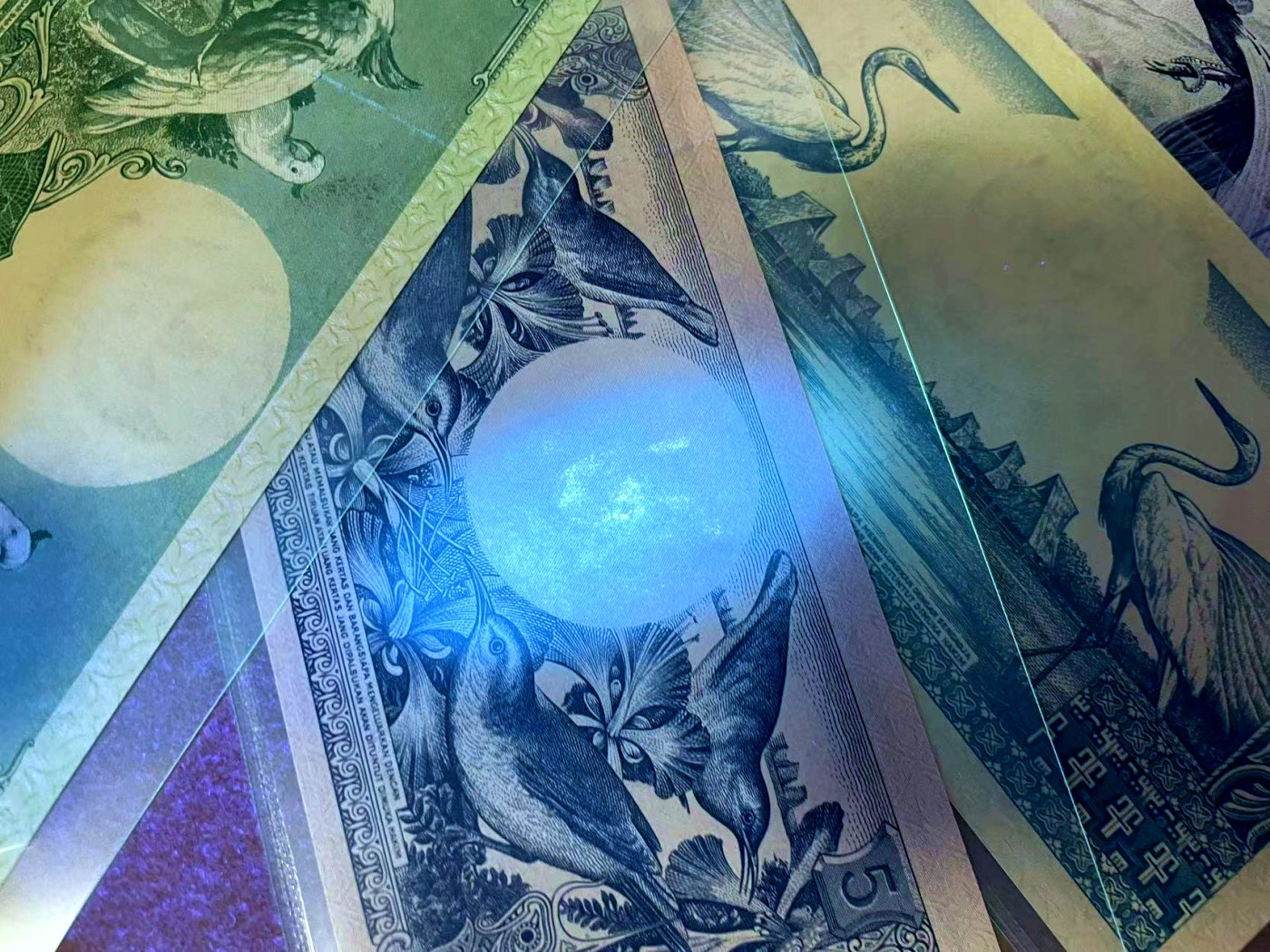 【Blue Auction】✨世界纸币精拍第448期【精】 【一组4张】印尼 1959版 5-1000卢比 天堂鸟 UNC