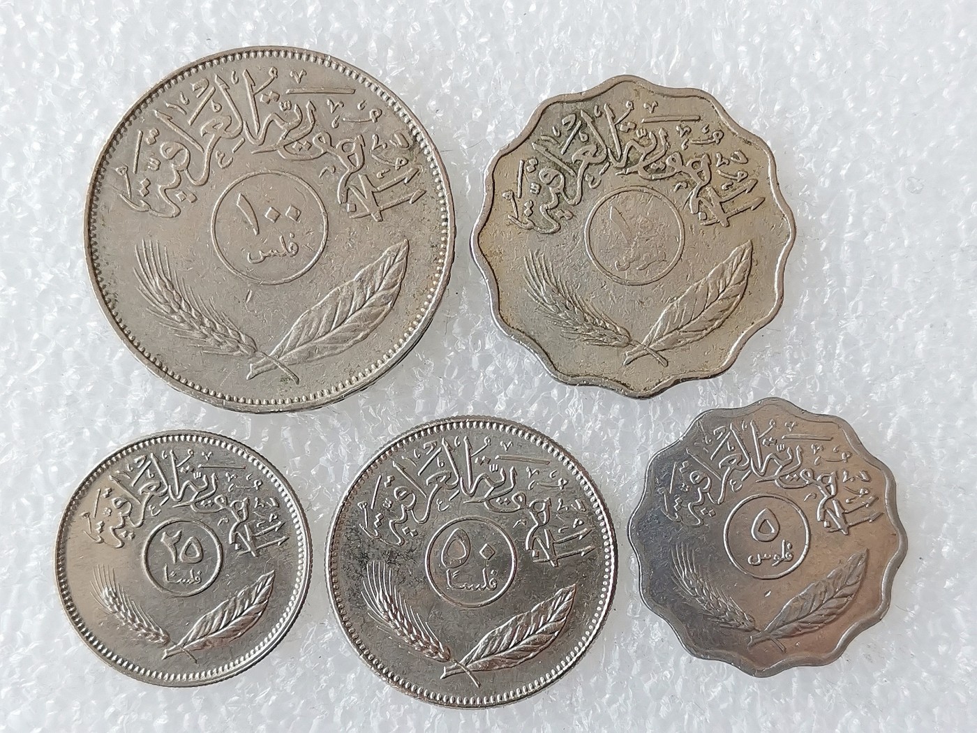 第一海外回流一元起拍收藏 散币专场 第72期 伊拉克5枚 椰枣树