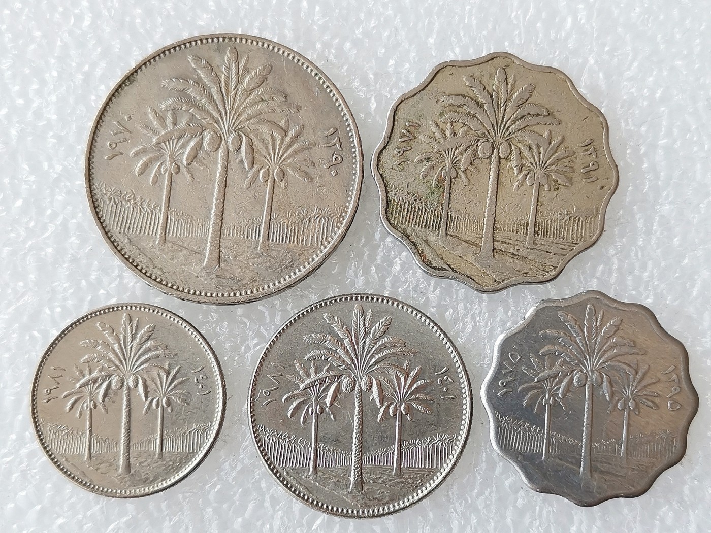 第一海外回流一元起拍收藏 散币专场 第72期 伊拉克5枚 椰枣树