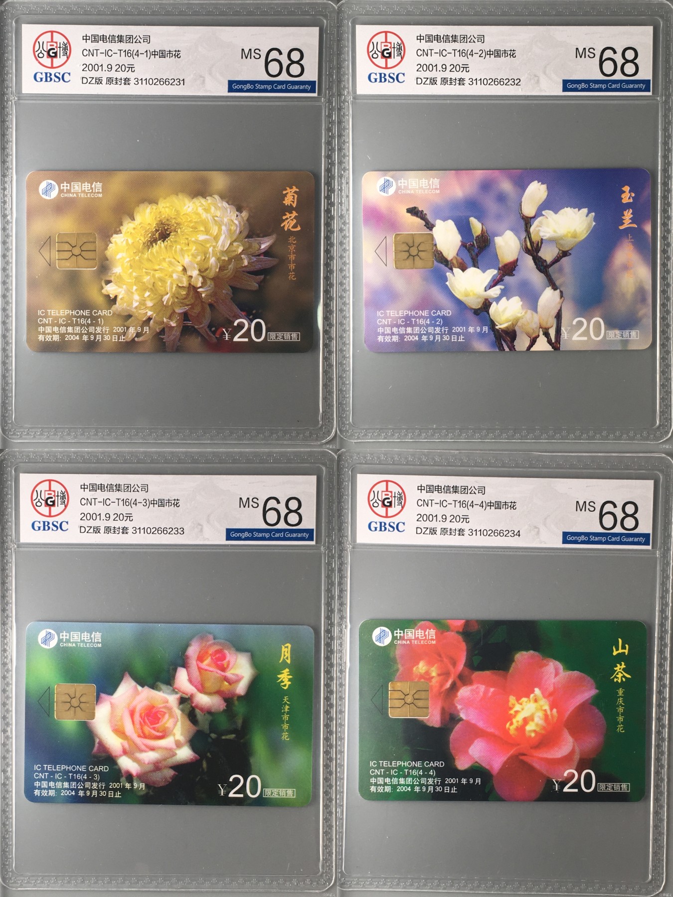 乐玩集藏第16期IC评级卡专拍(3.20晚8点开拍) ICT16中国市花公博68