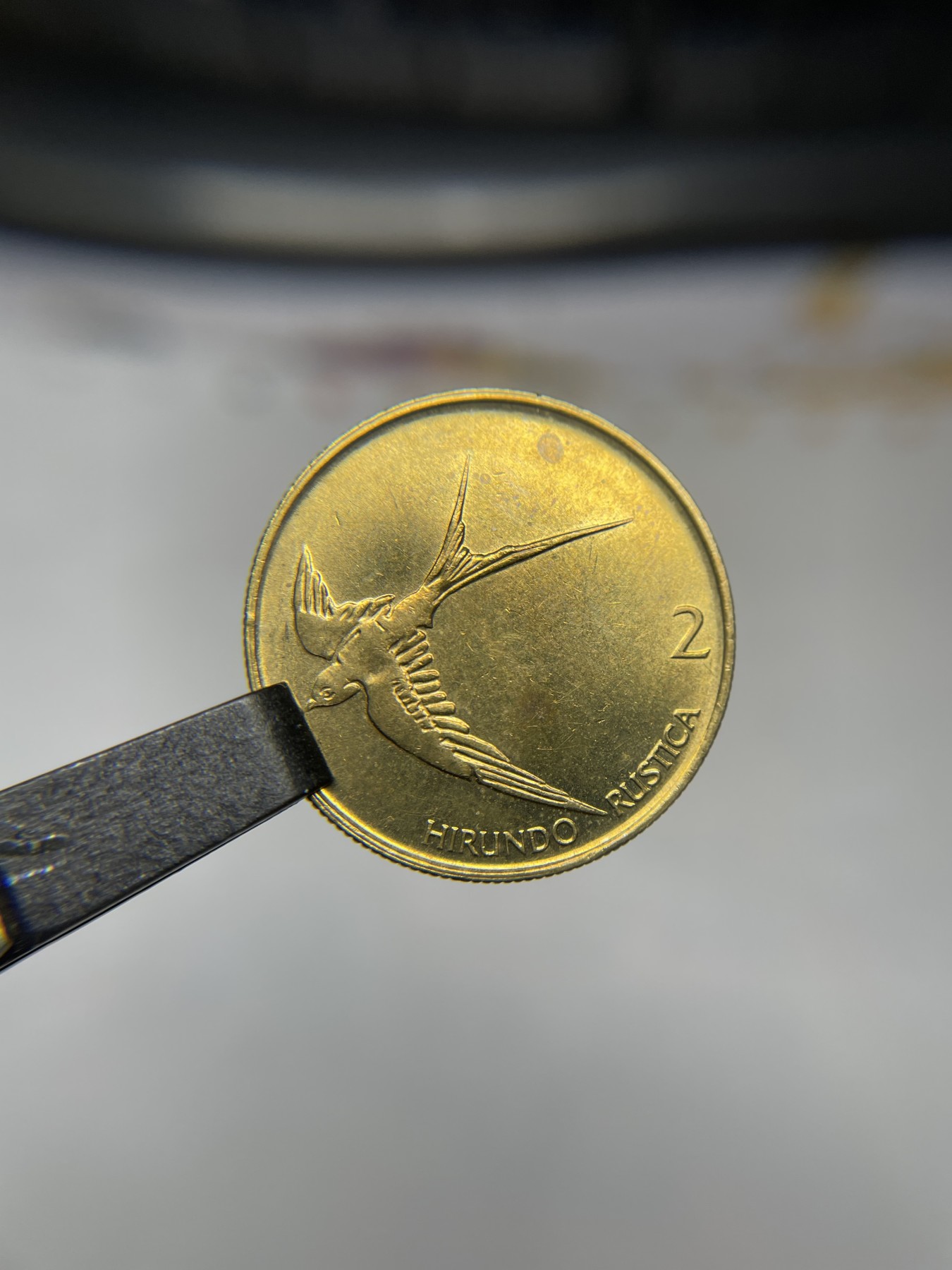 2024年集古藏今外币拍卖第二期-第9场（总第19拍） 带光2000年斯洛文尼亚2托拉尔