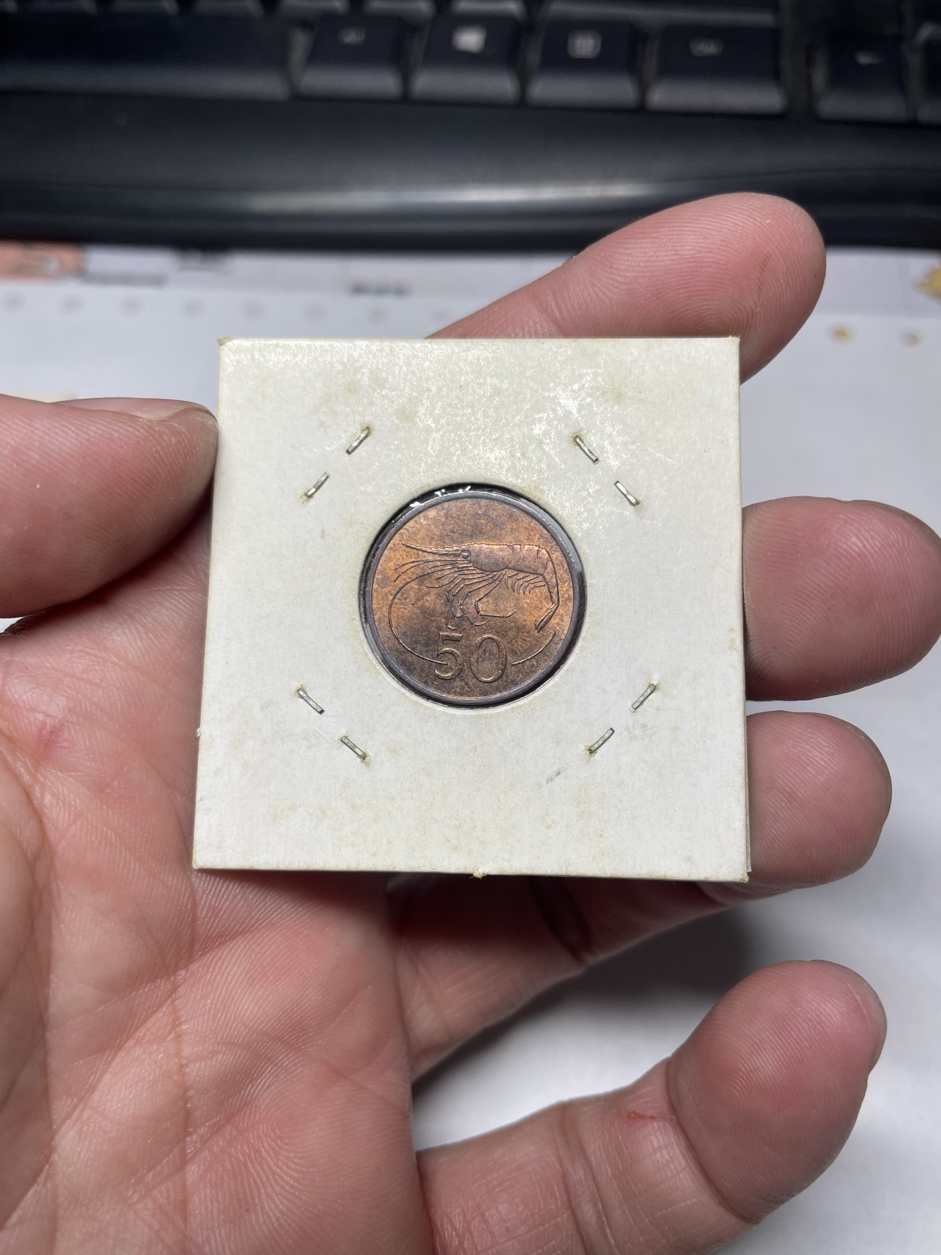 2024年集古藏今外币拍卖第二期-第9场（总第19拍） 带光1981年冰岛50分