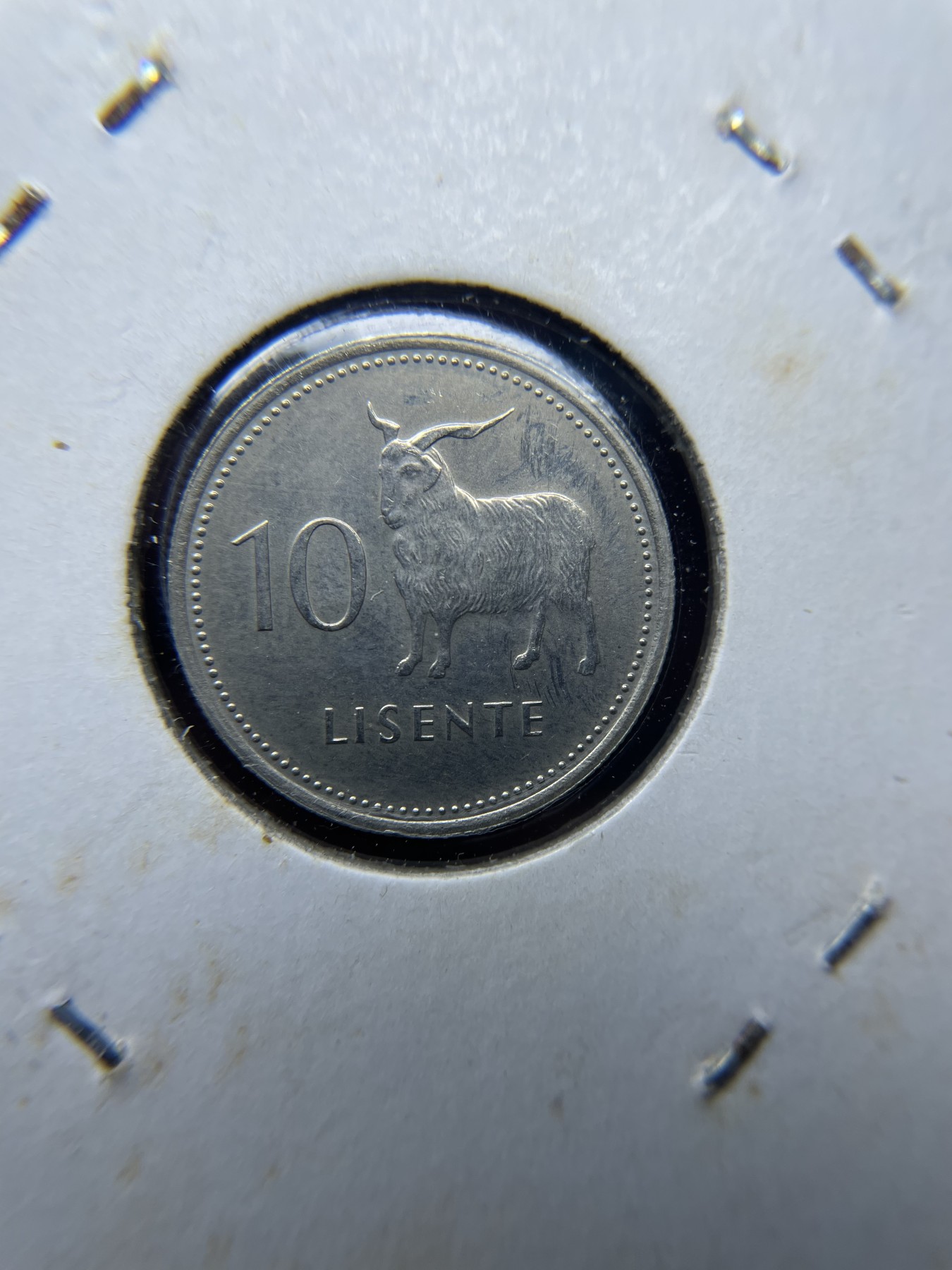 2024年集古藏今外币拍卖第二期-第9场（总第19拍） 1983年莱索托10黎