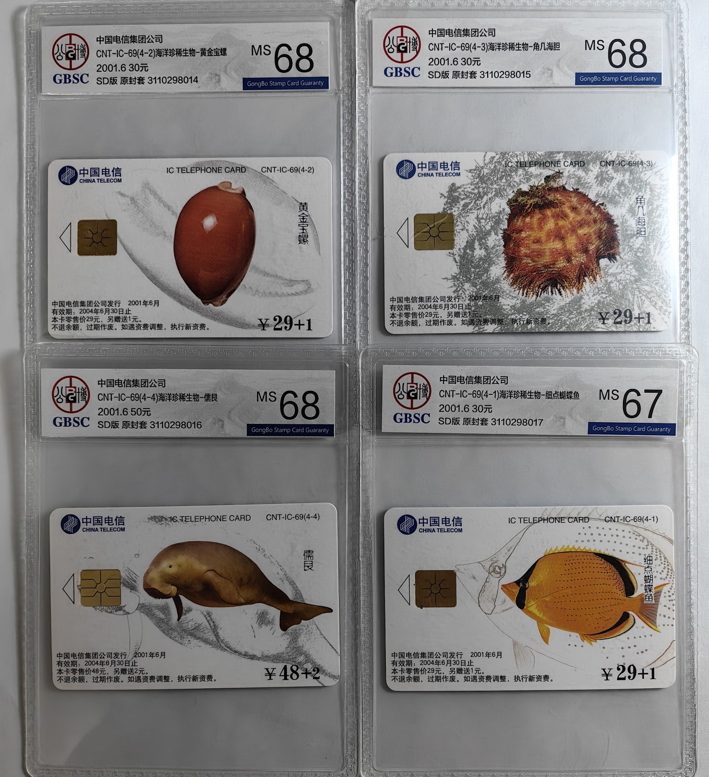 乐玩集藏第16期IC评级卡专拍(3.20晚8点开拍) IC69海洋生物公博混分