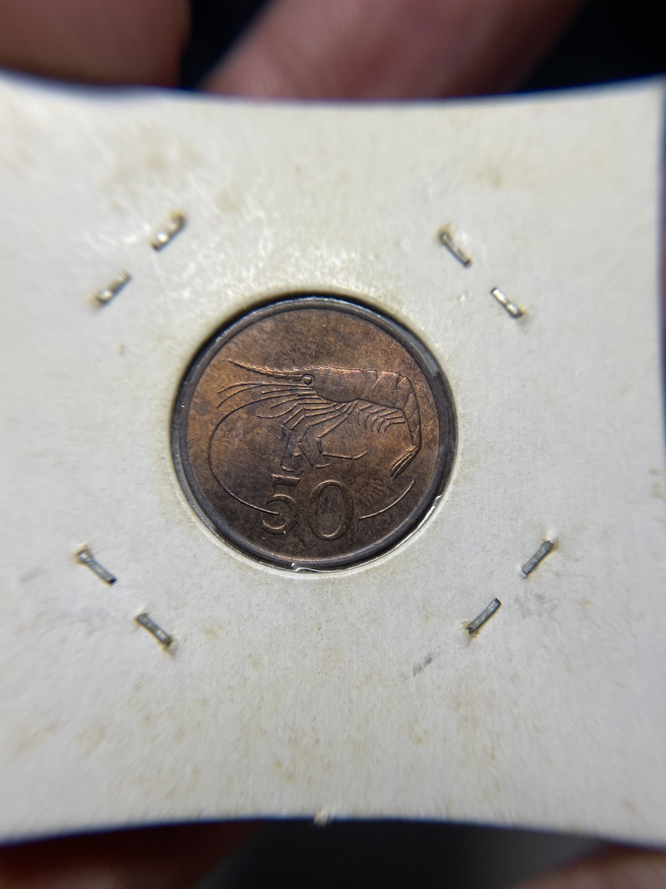 2024年集古藏今外币拍卖第二期-第9场（总第19拍） 带光1981年冰岛50分