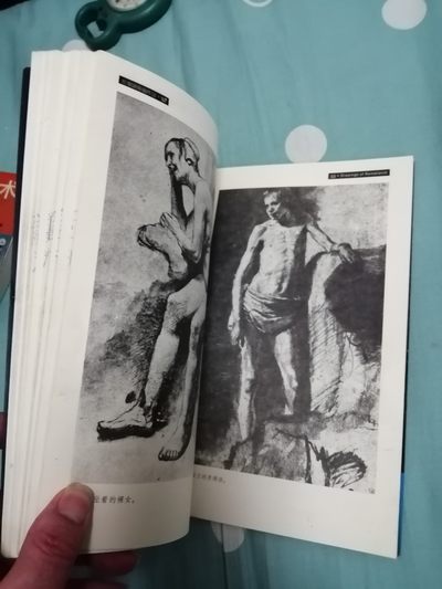 《大师素描画廊（二）一伦勃朗素描艺术》 《大师素描画廊（二）一伦勃朗素描艺术》