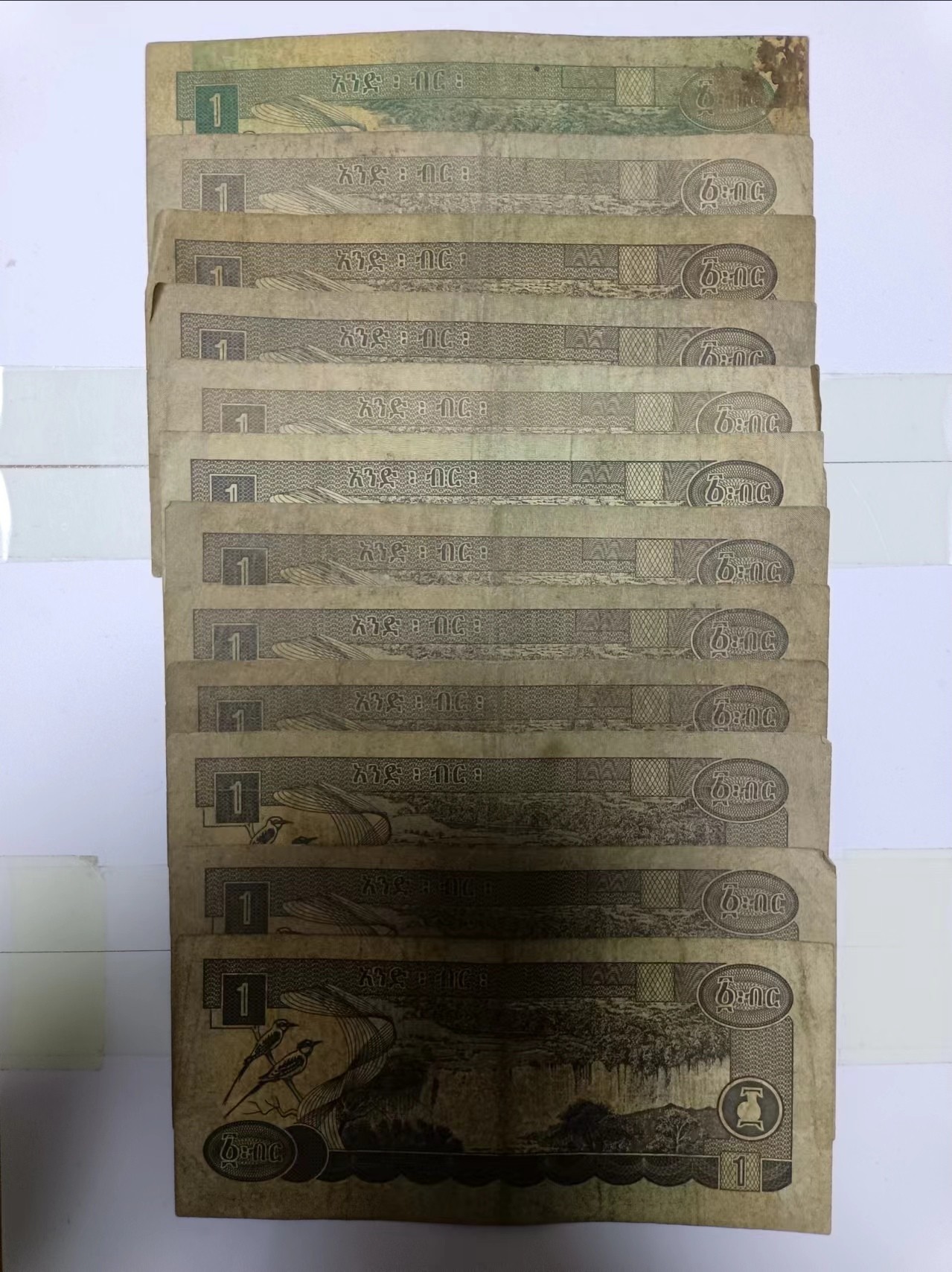 【20240325】非全新纸币第124场 埃塞俄比亚12张纸币，有裂缝