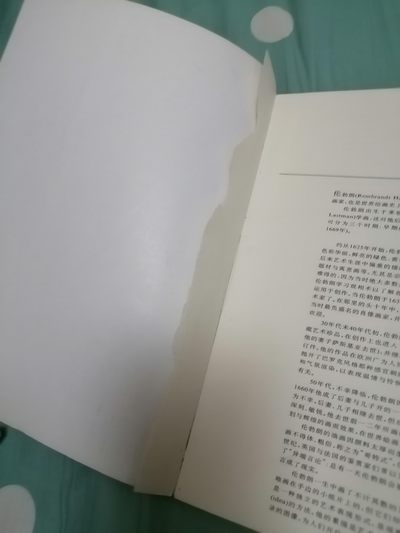 《大师素描画廊（二）一伦勃朗素描艺术》 《大师素描画廊（二）一伦勃朗素描艺术》