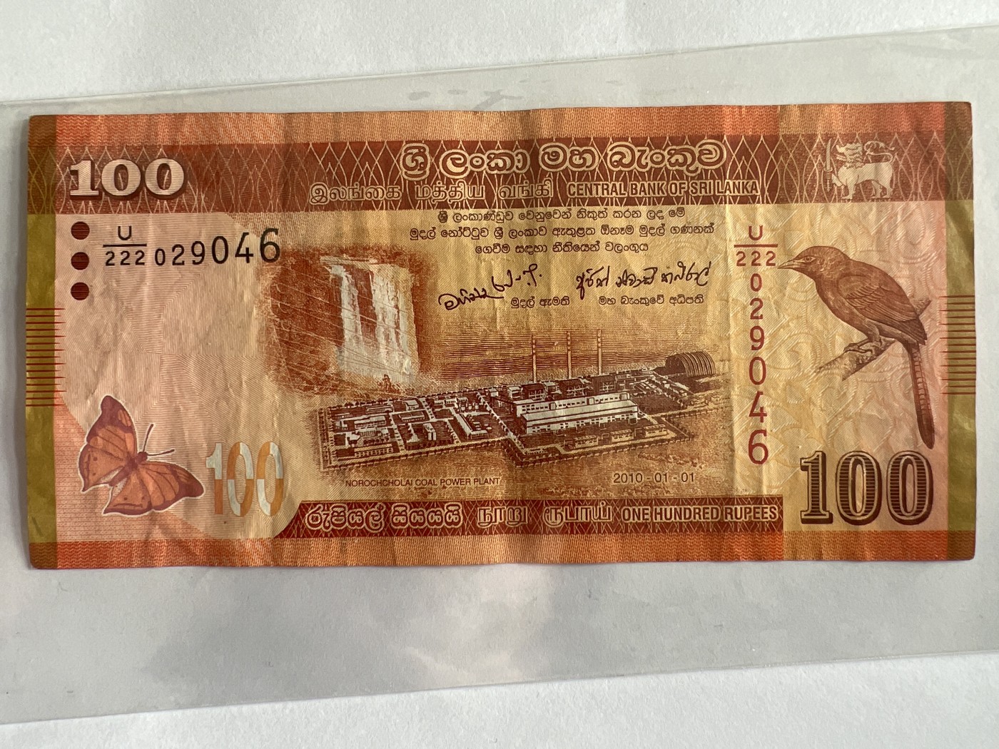 第559期 纸币专场 （无押金，捡漏，全场50包邮，偏远地区除外，接收代拍业务） 斯里兰卡100卢比
