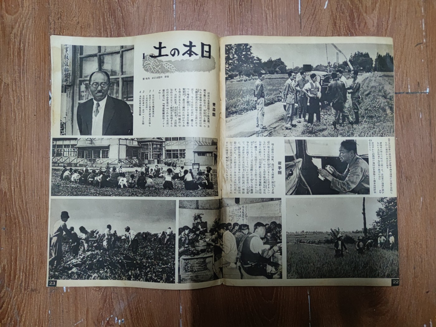 中核食堂第二十六次拍卖 写真周报1