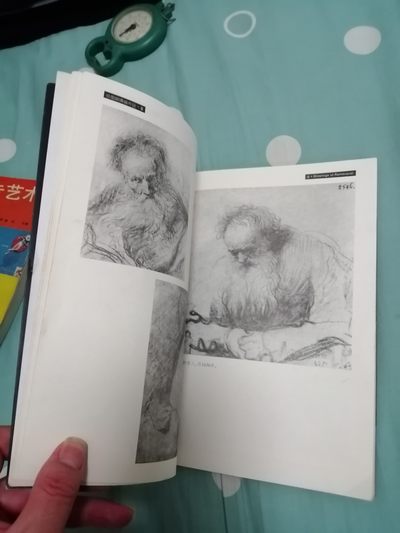 《大师素描画廊（二）一伦勃朗素描艺术》 《大师素描画廊（二）一伦勃朗素描艺术》