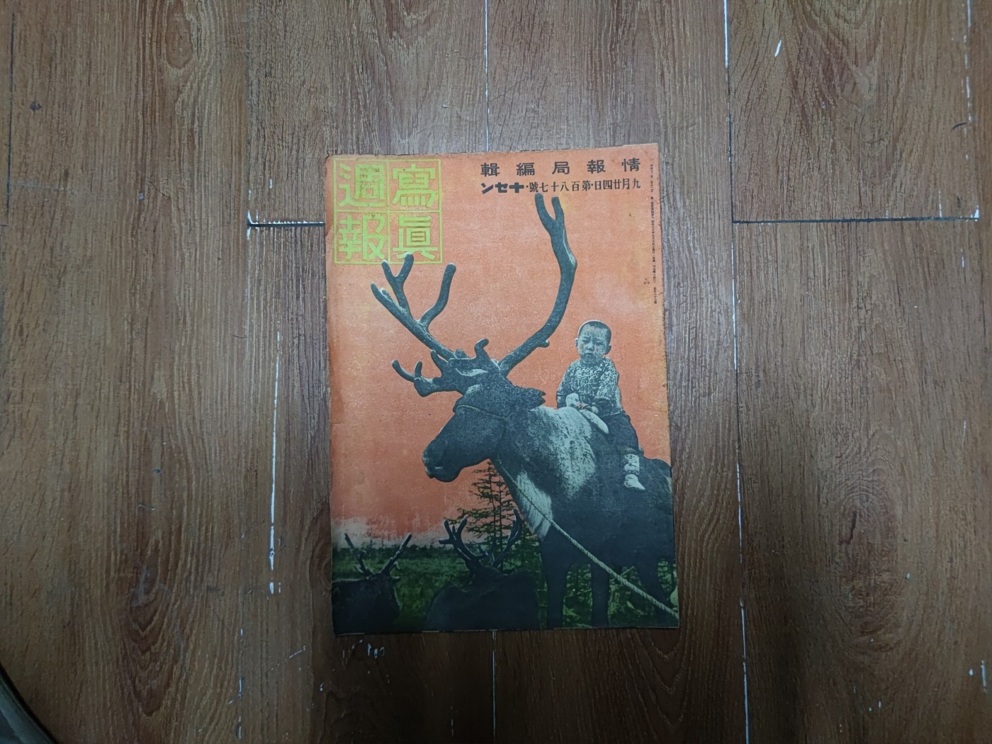 中核食堂第二十六次拍卖 写真周报3