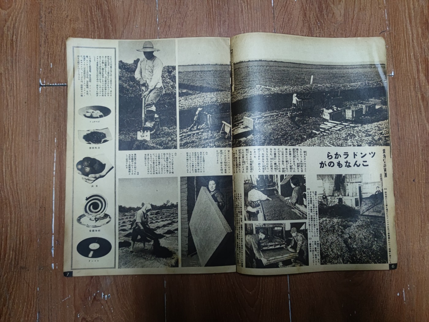 中核食堂第二十六次拍卖 写真周报3