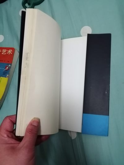 《大师素描画廊（二）一伦勃朗素描艺术》 《大师素描画廊（二）一伦勃朗素描艺术》