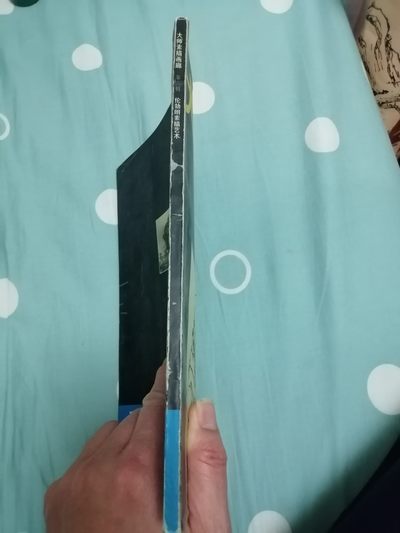 《大师素描画廊（二）一伦勃朗素描艺术》 《大师素描画廊（二）一伦勃朗素描艺术》