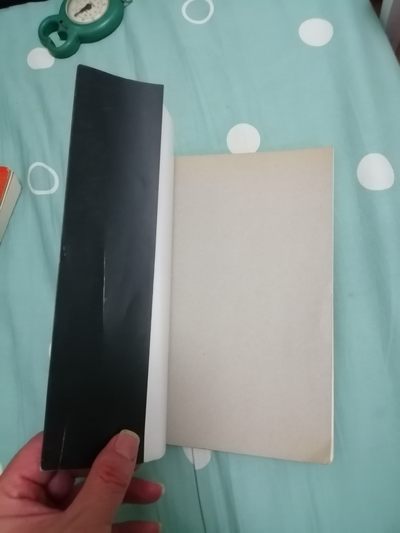 《大师素描画廊（二）一伦勃朗素描艺术》 《大师素描画廊（二）一伦勃朗素描艺术》