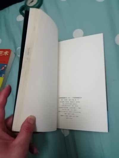 《大师素描画廊（二）一伦勃朗素描艺术》 《大师素描画廊（二）一伦勃朗素描艺术》