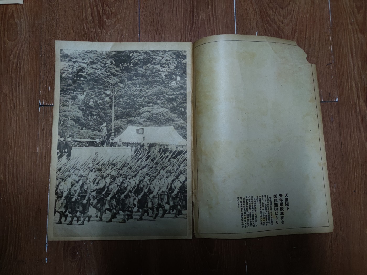 中核食堂第二十六次拍卖 写真周报2